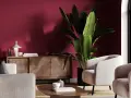 Nowoczesny salon z burgundową ścianą. Jasne fotele i sofa, drewniana komoda z rattanowymi frontami, duża roślina i stolik kawowy. Idealne inspiracje, z czym łączyć burgund.