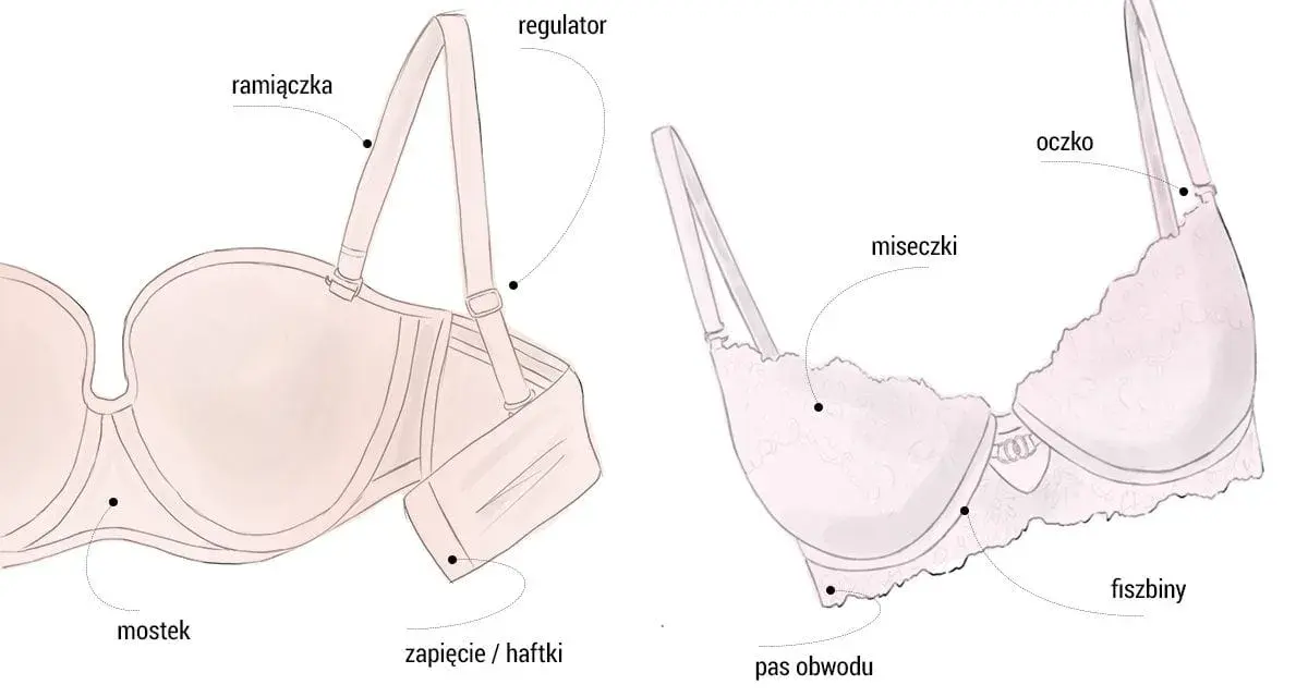 Ilustracja pokazuje budowę biustonosza z oznaczeniami: ramiączka, regulator, miseczki, fiszbiny, pas obwodu, mostek, zapięcie/haftki. Pomaga to zrozumieć, jak zmierzyć głębokość miseczki biustonosza.