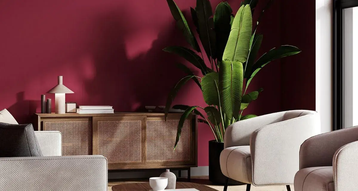 Nowoczesny salon z burgundową ścianą. Jasne fotele i sofa, drewniana komoda z rattanowymi frontami, duża roślina i stolik kawowy. Idealne inspiracje, z czym łączyć burgund.