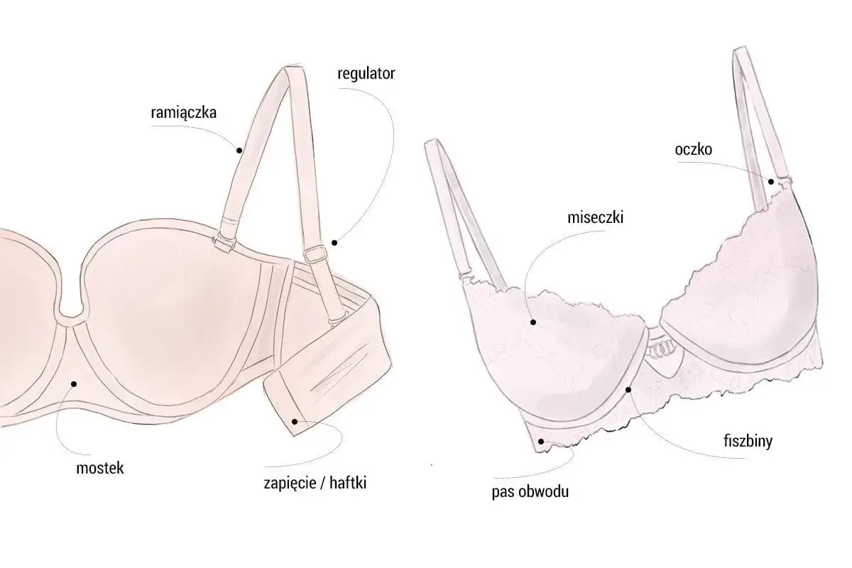 Ilustracja pokazuje budowę biustonosza, z zaznaczonymi elementami jak miseczki, ramiączka i fiszbiny. Pomaga to zrozumieć, jak zmierzyć głębokość miseczki biustonosza.